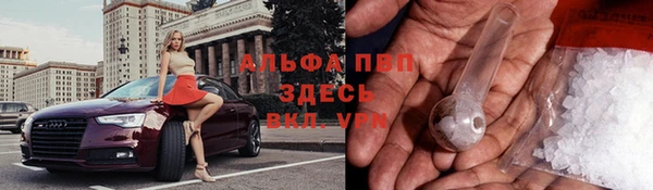 прущие грибы Навашино