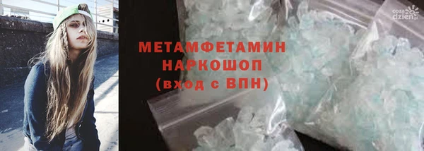 сатива Гусев