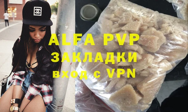 индика Михайловск