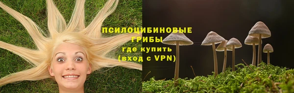 прущие крисы Дмитров