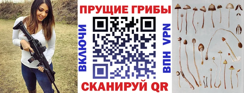 Псилоцибиновые грибы Cubensis  Петухово 